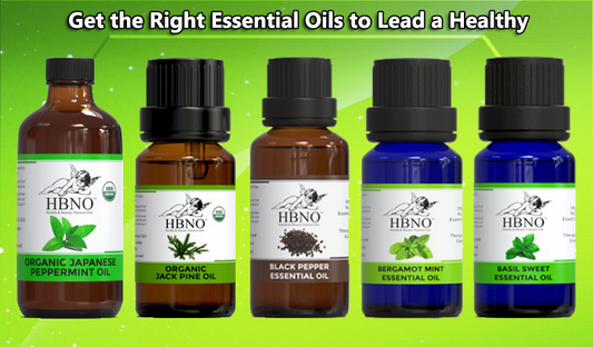 Get the Right Essential Oils to Lead a Healthy Life