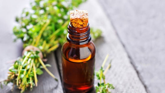Why Thyme Oil is Becoming Popular in the Agricultural Industry?