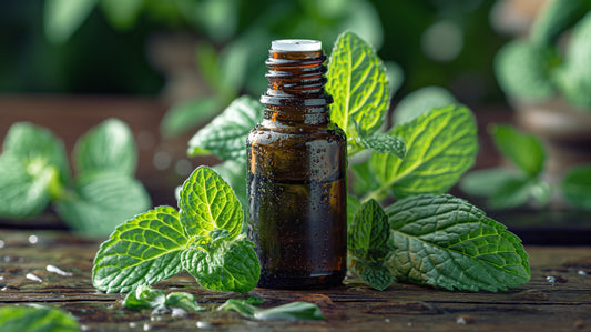 Maximizing Your Business Potential with Peppermint Oil Wholesale Services