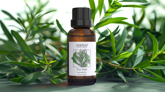 Tea Tree Oil Wholesale: Quality, Savings, and Where to Find the Best Deals