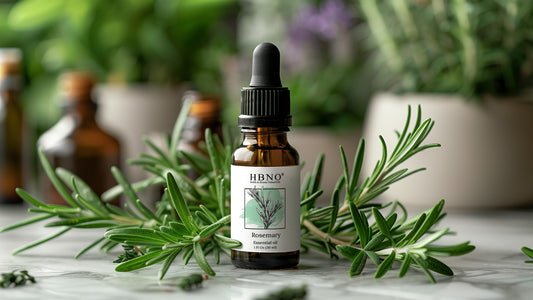 How to Make Rosemary Essential Oil and What is its Industrial Use?