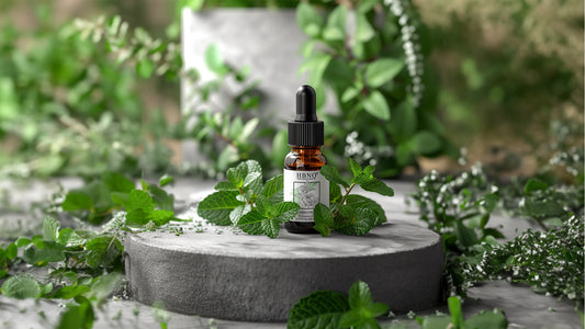 Discover the Best Quality Peppermint Oil at Affordable Prices