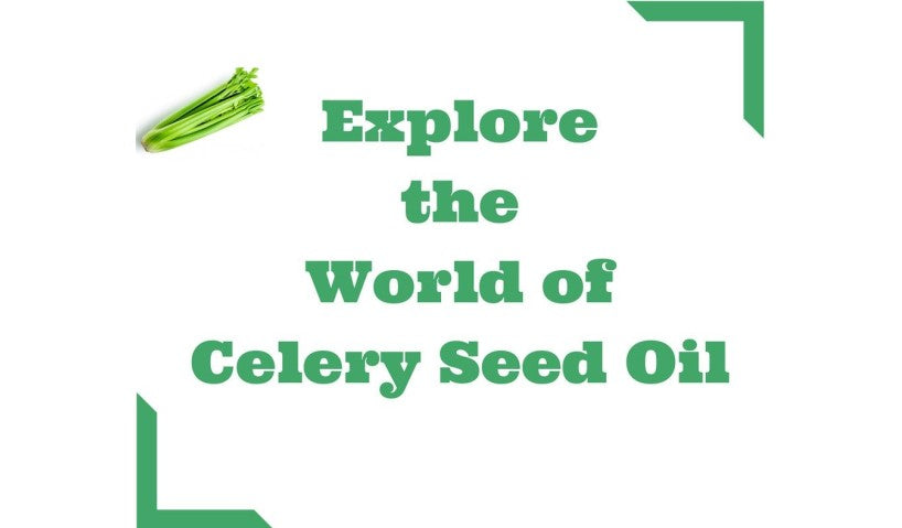 Health Benefits Of Celery Seed Essential Oil You Never Knew