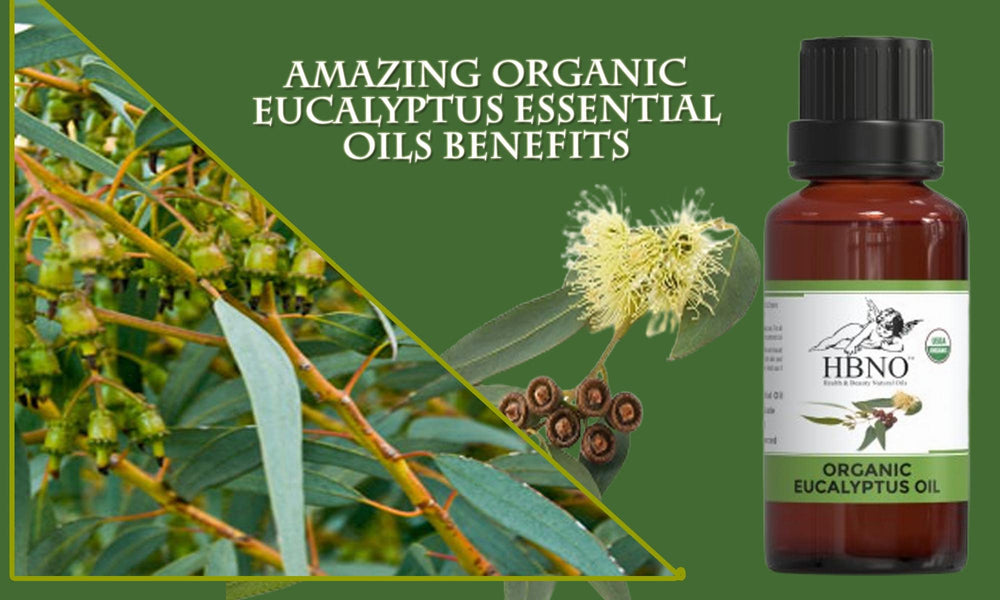 Amazing Organic Eucalyptus Essential Oils Benefits