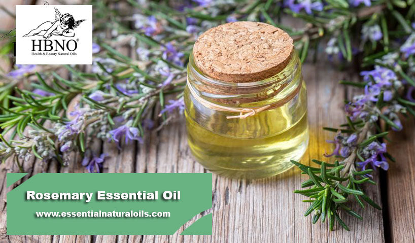 5 Factors that Make Rosemary a Growth-Enhancing Essential Oil