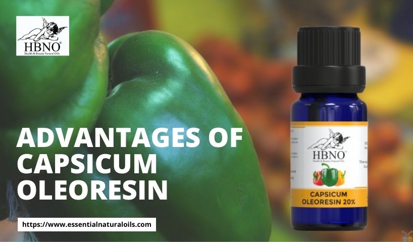 The Various Advantages of Capsicum Oleoresin Worth Trying