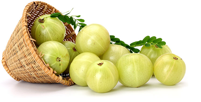 How is Amla Oil Beneficial for Our Hair?