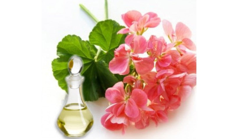 Letting The Anxiety Fly Away With Geranium Essential Oil