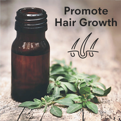 How To Use Fenugreek Essential Oil To Promote Hair Growth