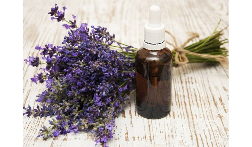 All about Lavender Essential Oil
