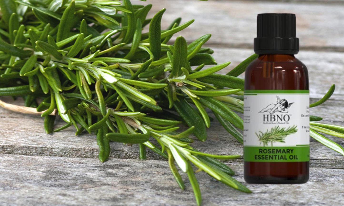 Potential Benefits of Rosemary Spain Essential Oil