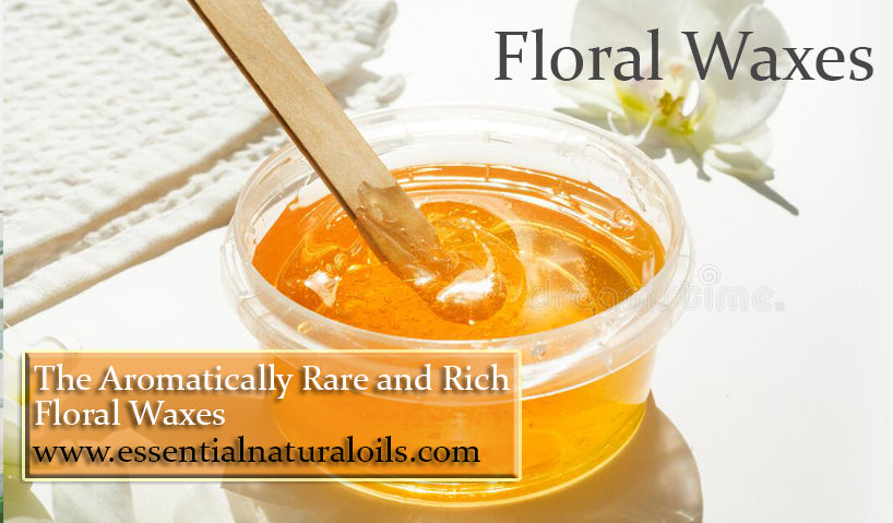 The Aromatically Rare and Rich Floral Waxes