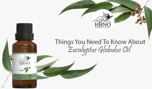 Things You Need To Know About Eucalyptus Globulus Oil