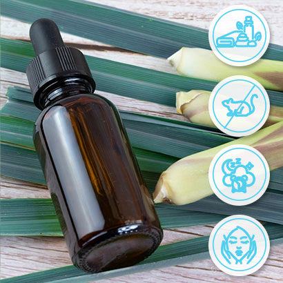 Top 4 Remarkable Benefits of African Bluegrass Essential Oil