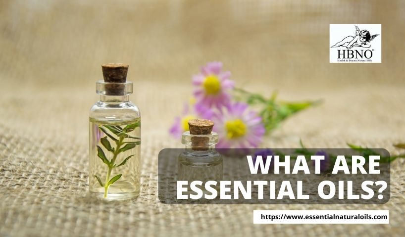 What are Essential Oils and What Makes Them So Popular?
