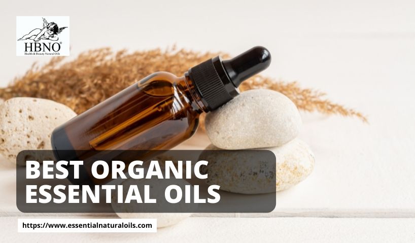 Best Organic Essential Oils for your Health