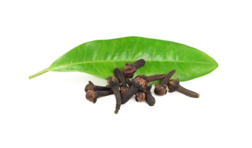 Understand the Healing & Therapeutic Properties of Clove Leaf Oil