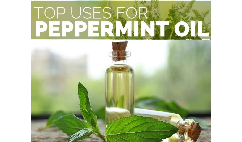 4 Amazing Health Benefits of Peppermint Essential Oil