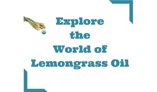 Beneficial Uses of Lemongrass Oil for Humans