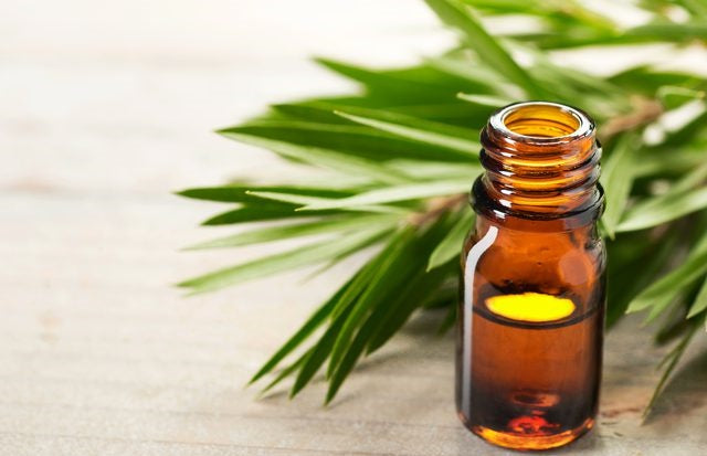 Tea Tree Oil - An Essential First Aid Kit Component