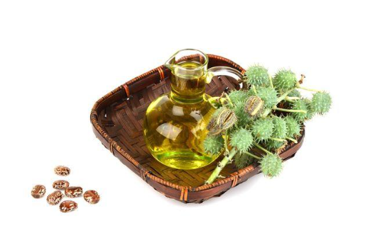 Organic Castor Oil – Benefits for Hair and Skin