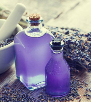 Your Guide to purchase pure lavender essential oil online