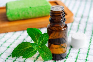 Mentha Piperita - Peppermint Health Benefits and Uses