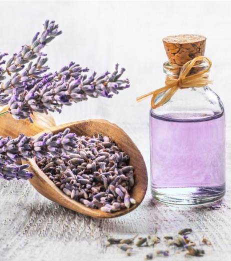 A helpful guide to buying organic lavender oil