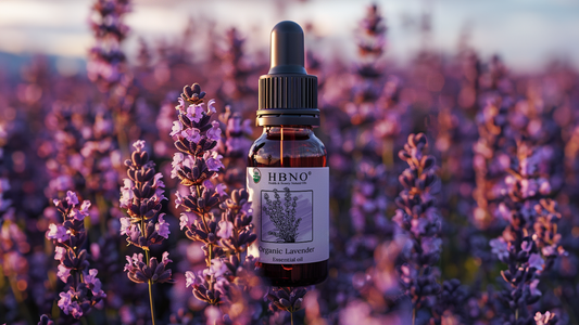 From Fields to Bottles: The Journey of Lavender Essential Oil in Bulk