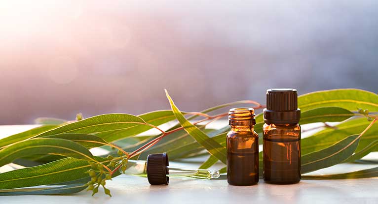 3 Benefits of Eucalyptus Essential Oil that You Must Know This Winter