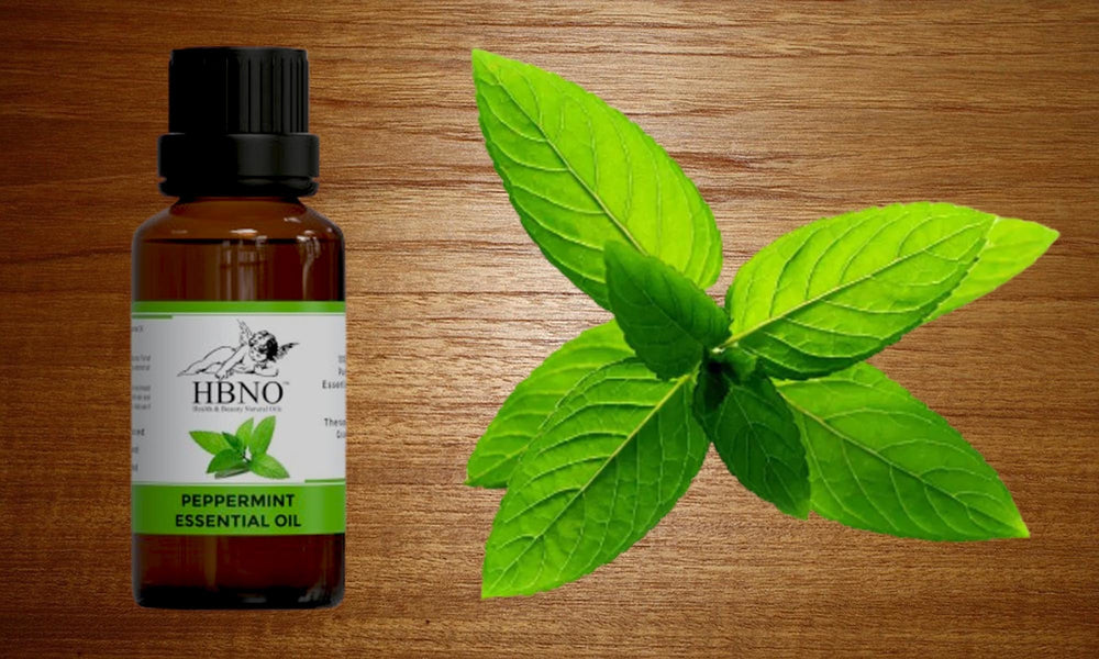 Numerous Benefits of Peppermint Essential Oil