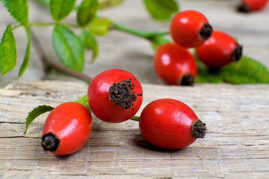 5 Useful Applications of Rosehip Seed Oil for a Beautiful Skin