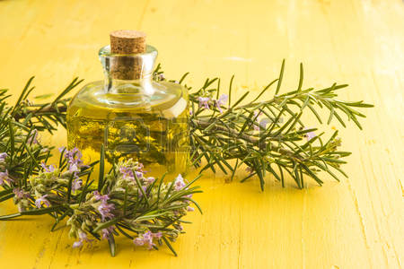 Benefits of Rosemary Essential Oil for Mental Health