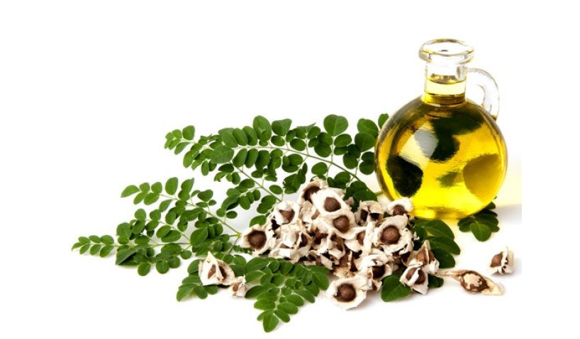 The Therapeutic Moringa Seed Oil